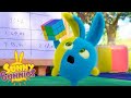 Cartoons for Kids | SUNNY BUNNIES PLAYING RUBIK&#39;S CUBE | Funny Cartoons For Children
