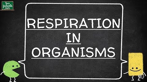 Respiration in Organisms [ Why do We Respire? ] Class 7 | Science| CBSE | ICSE | NCERT