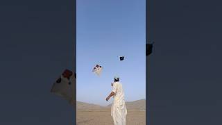 kite flying video's 😎♥️ #kite #dillikiteclub #kiteflying #automobile #kiteground