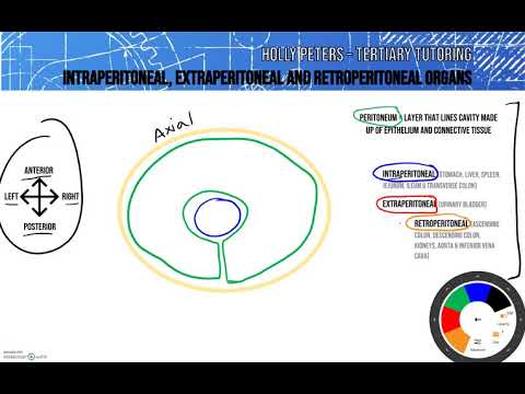 Vídeo: Diferencia Entre Intraperitoneal Y Retroperitoneal