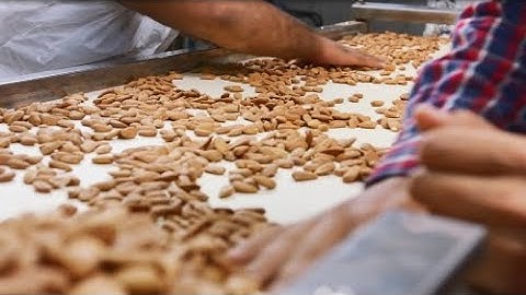 Discover the Food Science major