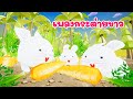 เพลง กระต่ายขาว เพลงเด็ก 2566 By KidsMeSong