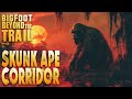 The Skunk Ape Corridor: Bigfoot Beyond the Trail