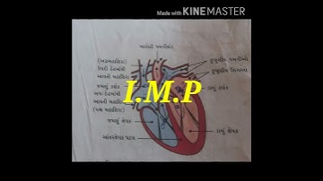 dhoran 10 Vignan💯 imp 💯prashn Aakruti