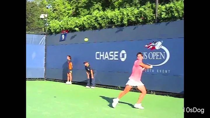 WTA Tennis One-Handed Backhands at US Open 2011