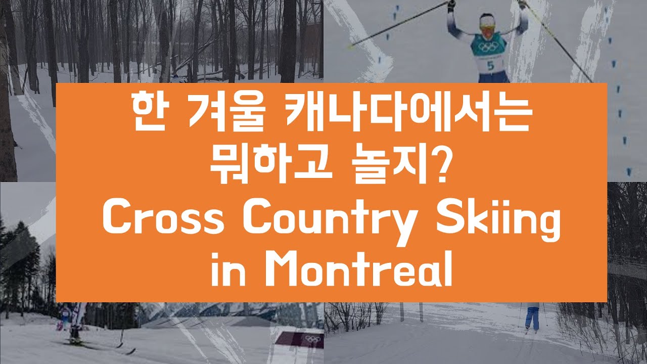 Cross Country Skiing in Montreal ??????????????? ?????????????????? ???????????? YouTube