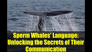 Sperm Whales
