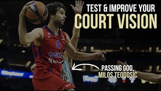 Test Your Court Vision & IQ! (& Milos Teodosic Passing Breakdown) screenshot 4