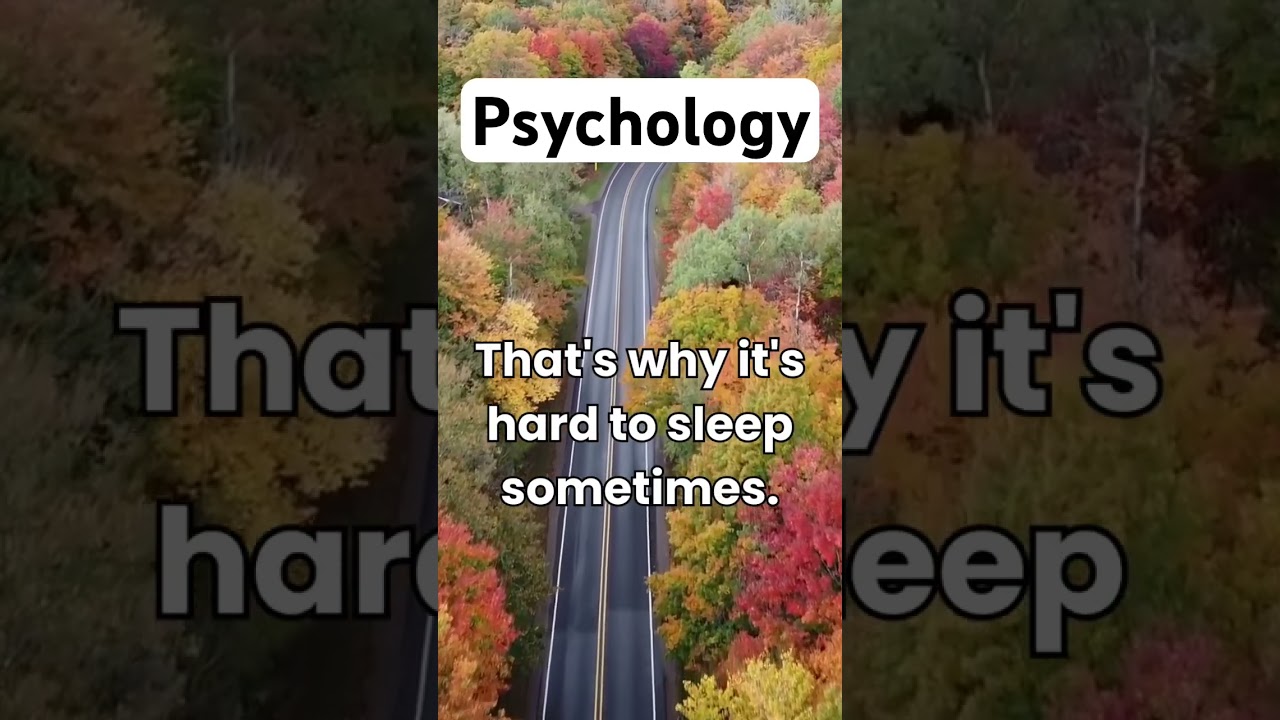 Why Your Brain is More Active at Night 🧠🌙 