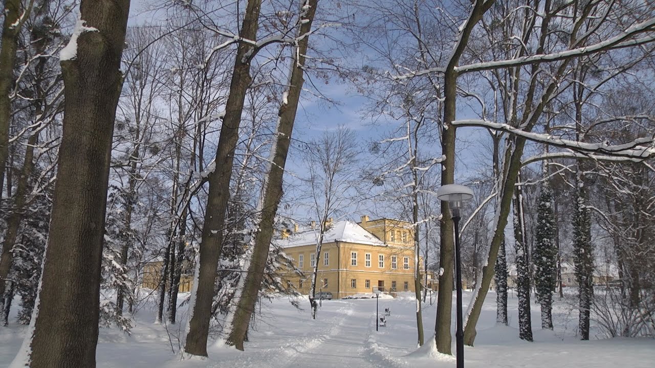 Remediacja stawu Kalina i pielęgnacja parku w Koszęcinie