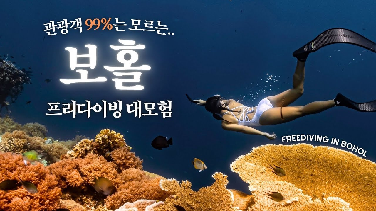 ENG) 관광객은 모르는, 신비로운 보홀 프리다이빙 대모험ㅣ여기가 멕시코야, 필리핀이야?🇲🇽🇵🇭 그랑블루보홀 나팔링 수중사진 4K