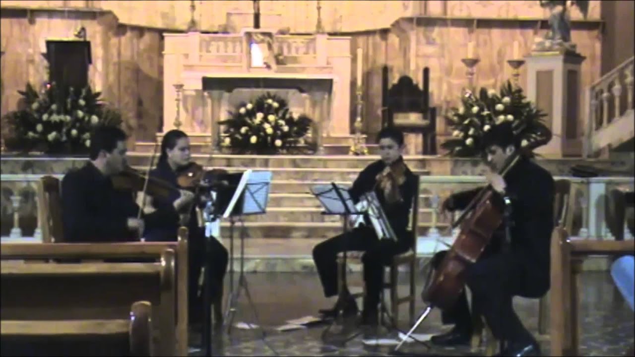 MUSICA INSTRUMENTAL SALTILLO YouTube