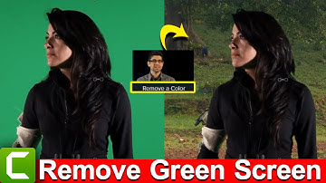 Green Screen Remove | Change Video Background | Chroma Key | Remove A Color | Camtasia Tutorial