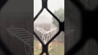 North Lakes weather update: rain arrived, but the hailstorm we were warned about never showed up.