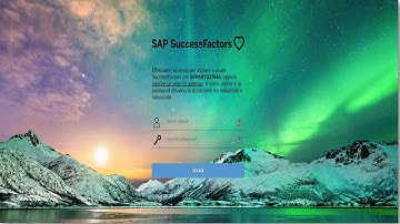 SuccessFactors_Company Structure_overview_configuration_Employee_Central_Tutorial_18
