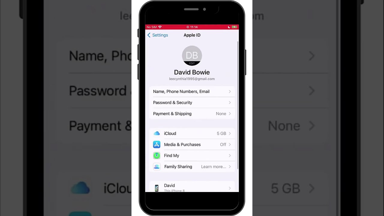 How To Remove Apple ID From IPhone Easily