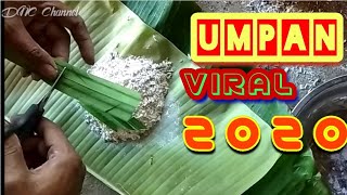 Umpan tembleg untuk ikan Mas/Tombro