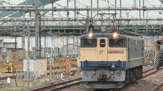 EF65 2086 OM入場牽引機返却回送が大宮駅の5番線に到着
