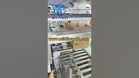 Bag In Box Inserter Manufacture Poly Bag Inserting Machine Food Packaging Machine #machine