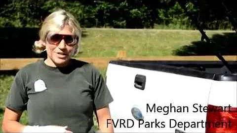 Meghan's Favourite FVRD Memory