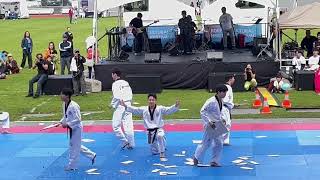 Kukkiwon Taekwondo Demonstration Team (Closing performance with Arirang)
