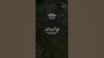 اكتب شيء تؤجر عليه 🩶😴 #القارئ_احمد_العجمي #karim_quran_1