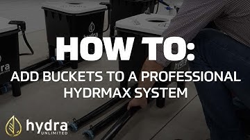 Easily Scale Your RDWC Hydroponic Grow | Adding Buckets to a HydraMax Professional System