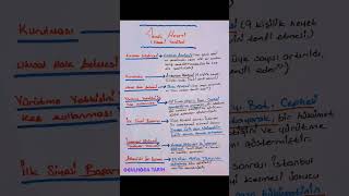 #keşfet #tarih #beniöneçıkart #reels #kpss #ags #ykstarih #ders #tyttarih #ayttarih #lgs #history