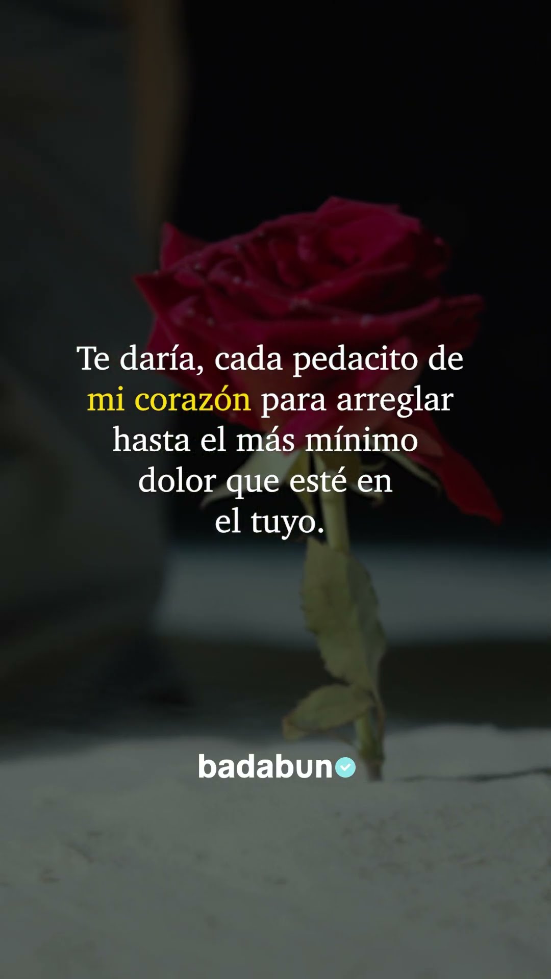 Daría todo de mí