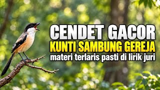 🔴 Cendet Gacor Kunti Sambung Gereja Materi Idaman Pasti di Lirik Juri