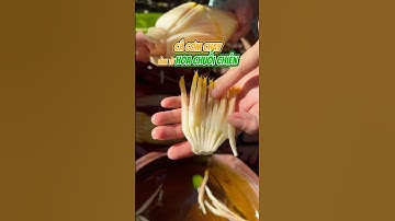 Cá cơm chay từ hoa chuối chiên #chebietnauan #food #monanngonmoingay #chenauan #amthuc  #cooking