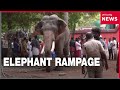 Elephant goes on rampage in India