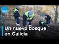 Plantamos 840 ÁRBOLES en MUÍÑOS 🌳🌲 | Sembrando Oxígeno llega a Galicia