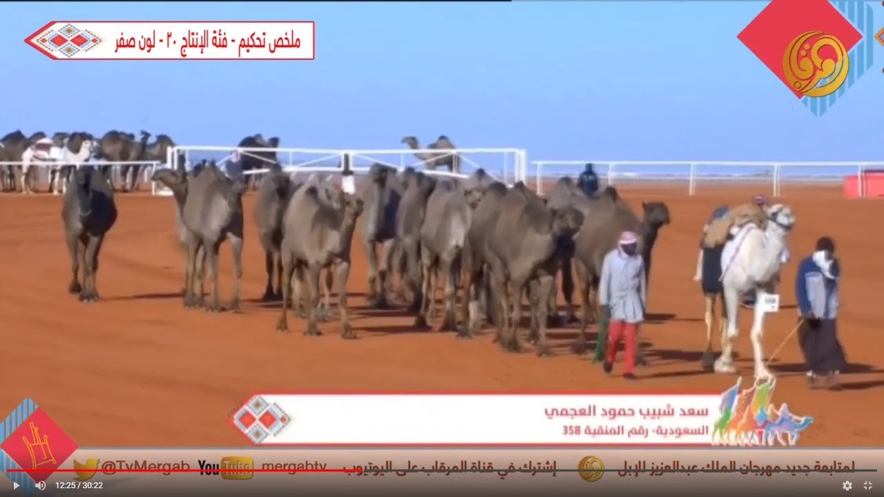 ملخص تحكيم - فئة كأس النادي ( 20 إنتاج ) لون الصفر-- الإثنين 23 ديسمبر 2019 م