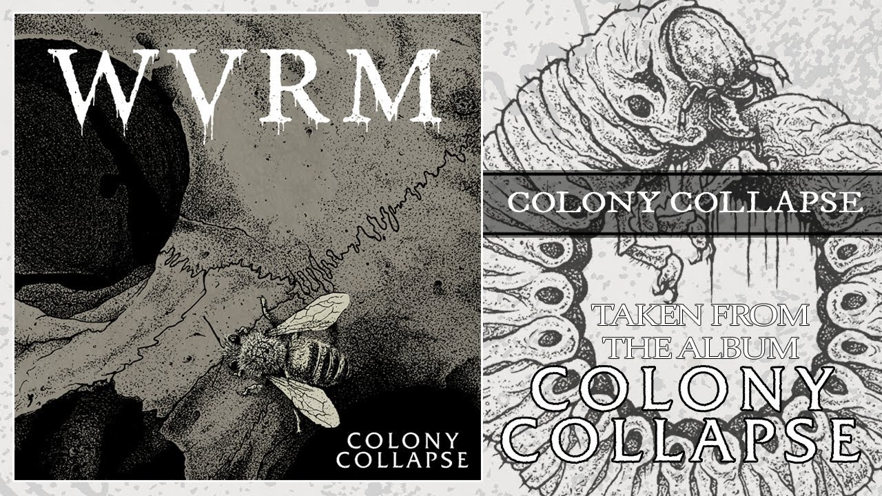 Watch WVRM - COLONY COLLAPSE (FULL ALBUM STREAM) on YouTube Watch WVRM - COLONY COLLAPSE (FULL ALBUM STREAM) on YouTube