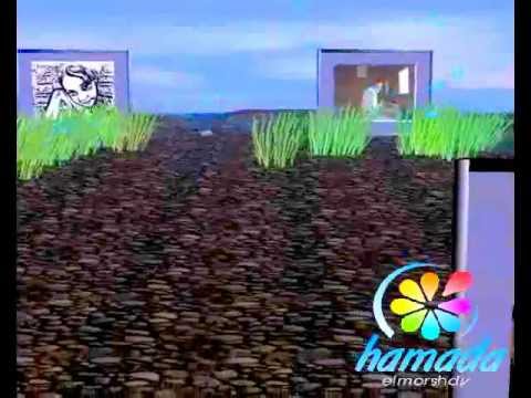 برنس المرشدي لون مشبع