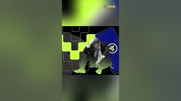 Crypto 23/9: Tưởng đáy đã sâu, giá Pi Network lại “đào thêm hố”, cộng đồng “coin tím” mất ăn mất ngủ