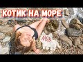 Открыли сезон? Вырвались к морю на пляж! Кот первый раз на пляже. Крым сегодня 2020.Yaltafamily vlog