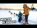Incredible Dogsledding &amp; Northern Lights In Lapland Sweden!!