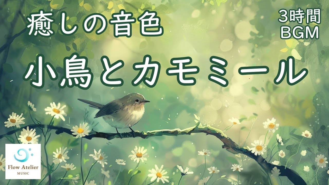 小鳥とカモミール ─ チェロ＆フルート【 3時間BGM 】｜Birdsong and Chamomile, Cello & Flute