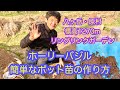 ホーリーバジルで運気up♪  超簡単♪ ポット苗の作り方