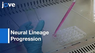 Single Cell Tracking for Cell Biology and Neural Lineage Progression | Protocol Preview