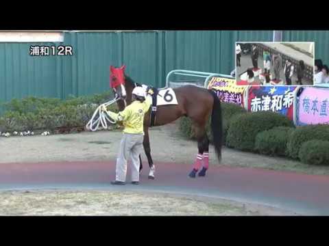 【浦和競馬】桜花賞2019　勝利騎手インタビューと表彰式