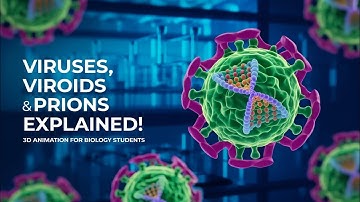 Understanding Viruses, Viroids, and Prions: Structure, Life Cycle & Examples - 3D Animation