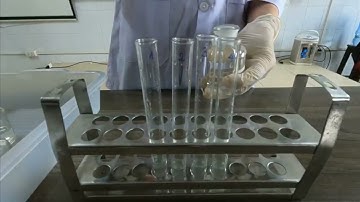 Thí nghiệm phân tích ảnh hưởng của độ pH đến hoạt tính enzyme amylase