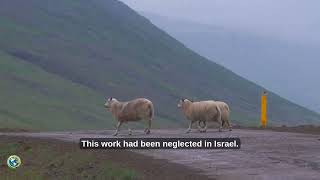 Christ's Object Lessons | Chapter 15 | "The Lost Sheep"; Page 150 | Ellen G. White