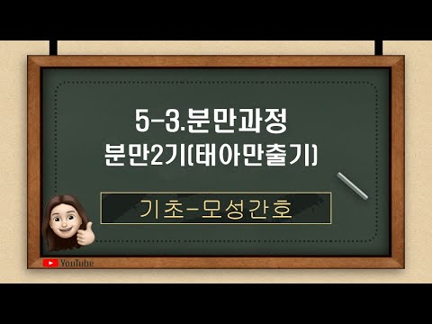 [모성간호]5-3.분만과정(분만2기)