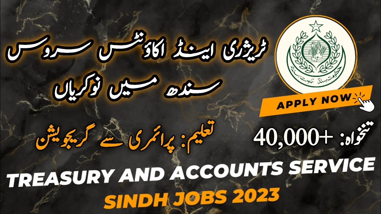 Treasury and Accounts Service Sindh Jobs 2023 || Pak Online Jobs