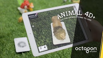 New Features in Animal 4D+ Augmented Reality Flashcards | Octagon Studio