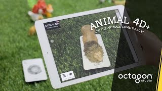 New Features in Animal 4D+ Augmented Reality Flashcards | Octagon Studio screenshot 1